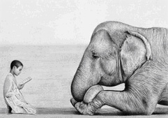 Слон и мальчик