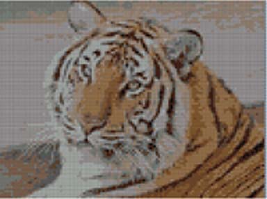 схема вышивки тигр